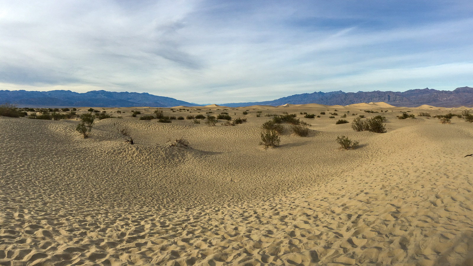 03 086 iPhone6 Steph IMG 4784