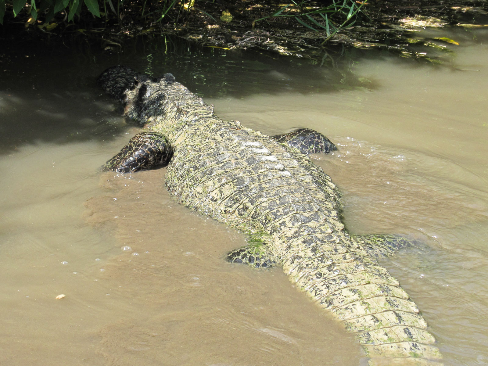 07 02 Homestead 011 IMG 3282